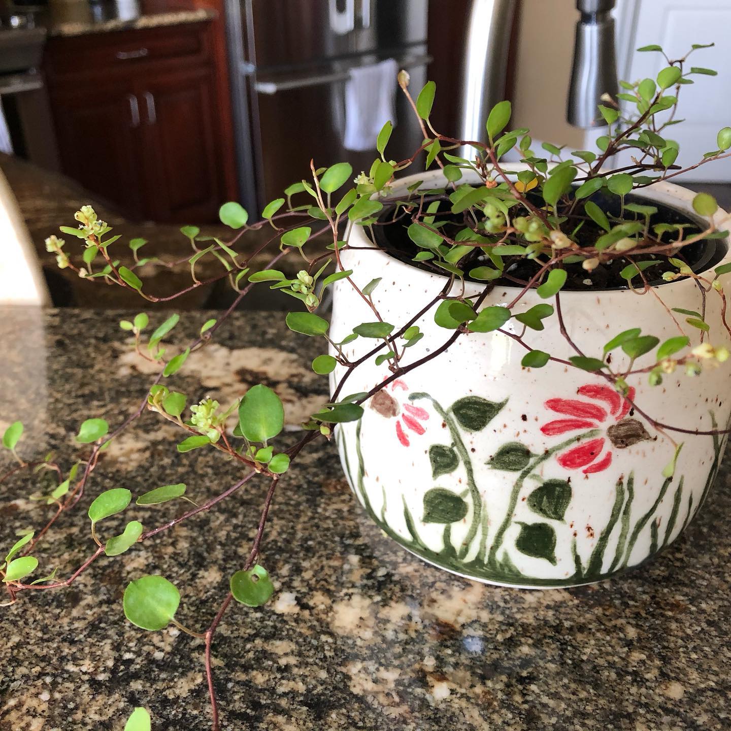 Carved leaf luminary vessel